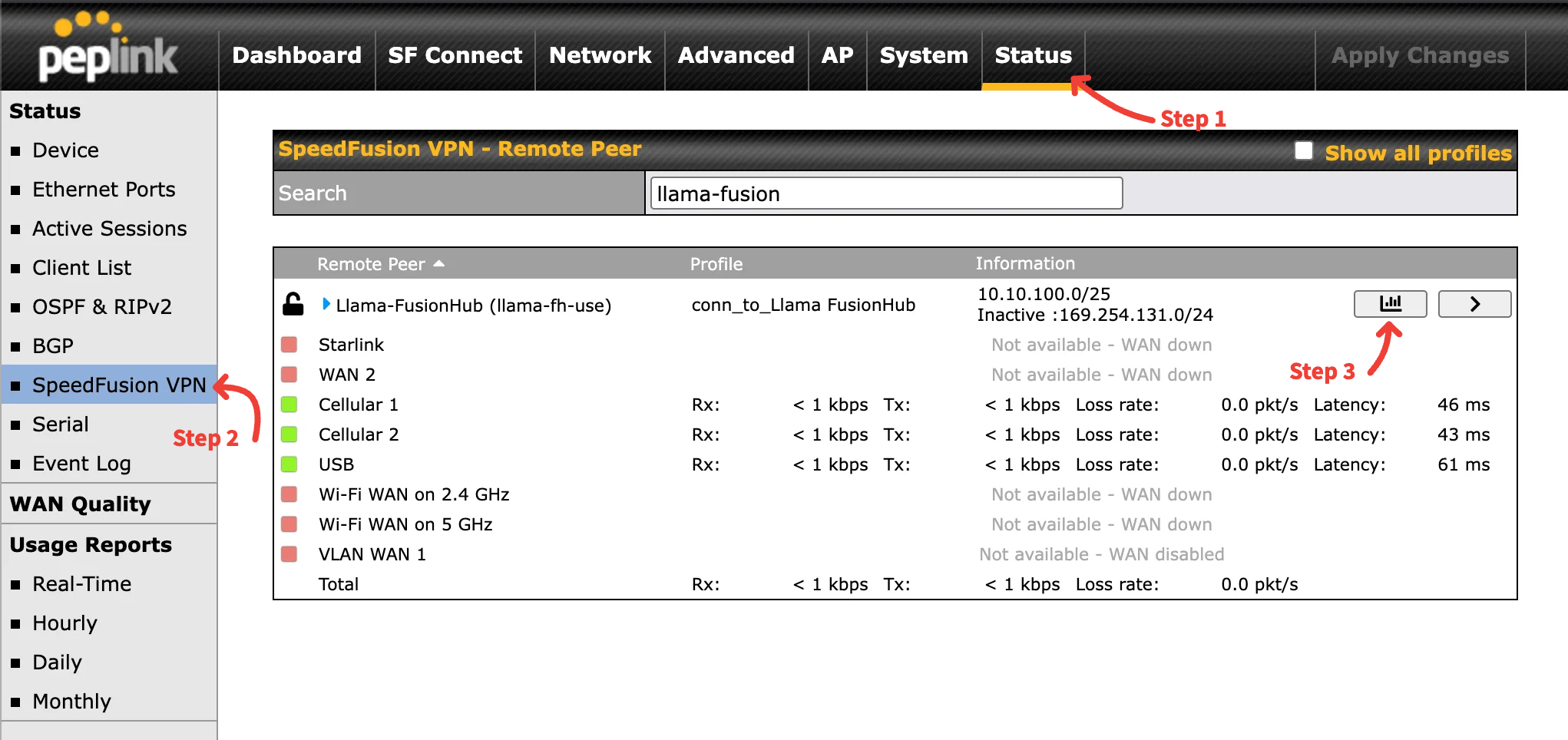Peplink - SpeedFusion Tunnel Data Location-mh.jpg