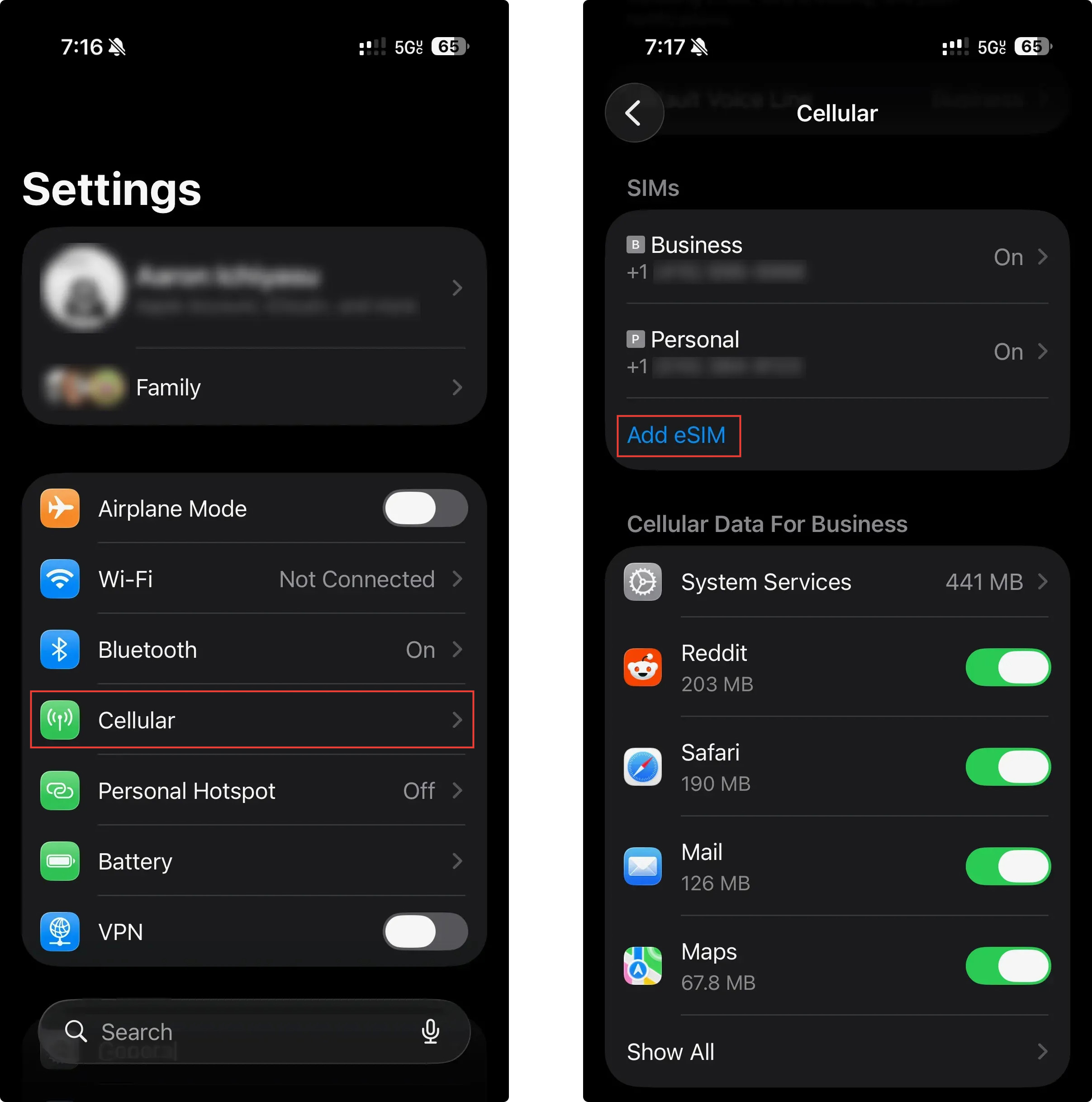 How to find Cellular and Add eSIM settings